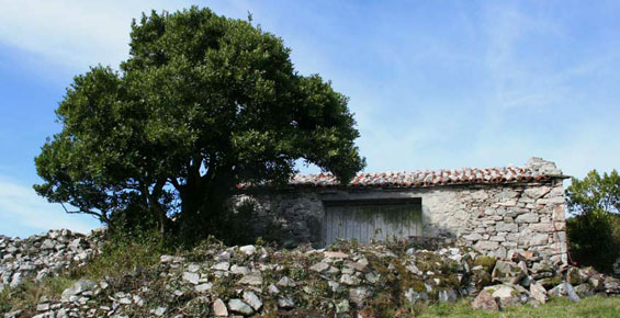 Casa Braniaseca