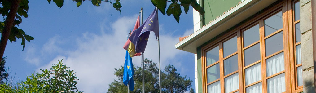 Banderas Hotel casa Vieja del Sastre